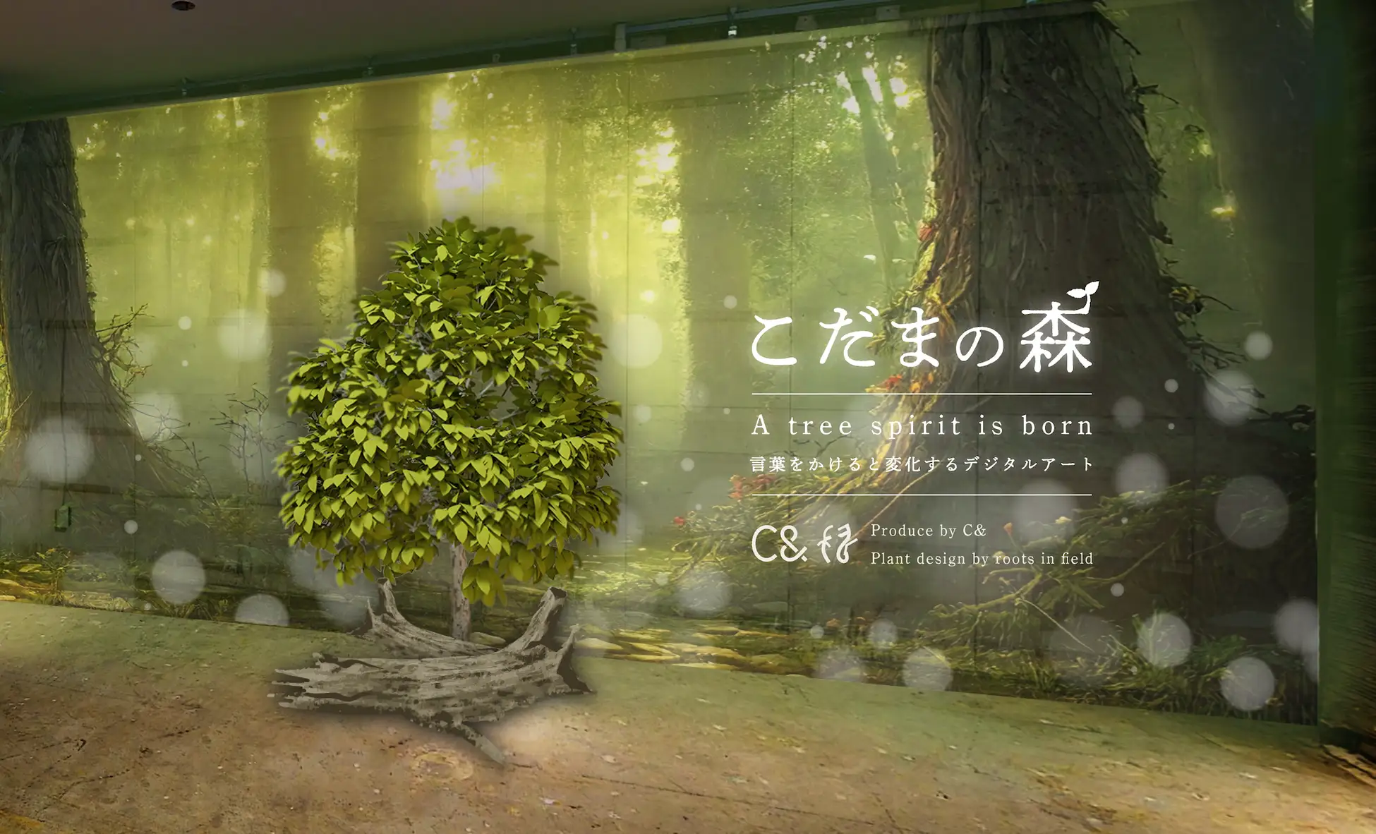 こだまの森 – 言葉をかけると変化するデジタルアートを公開